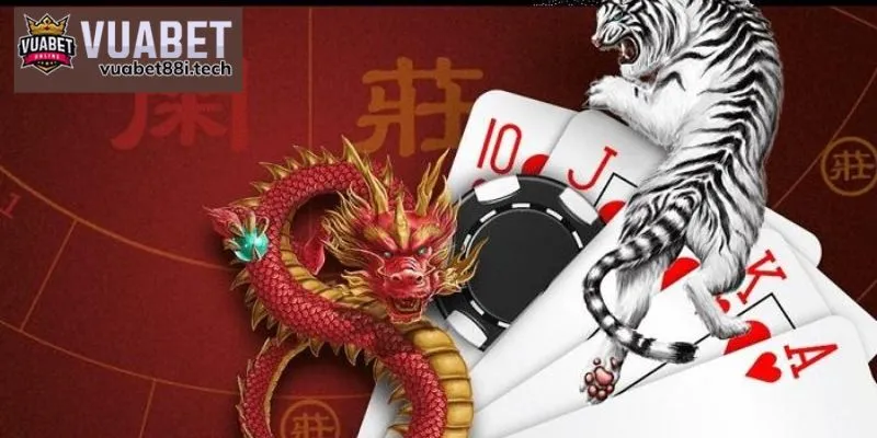 Cách chơi cược Suit