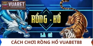 cách chơi rồng hổ