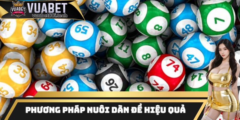 Một vài phương pháp nuôi dàn đề 36 số hiệu quả hàng đầu